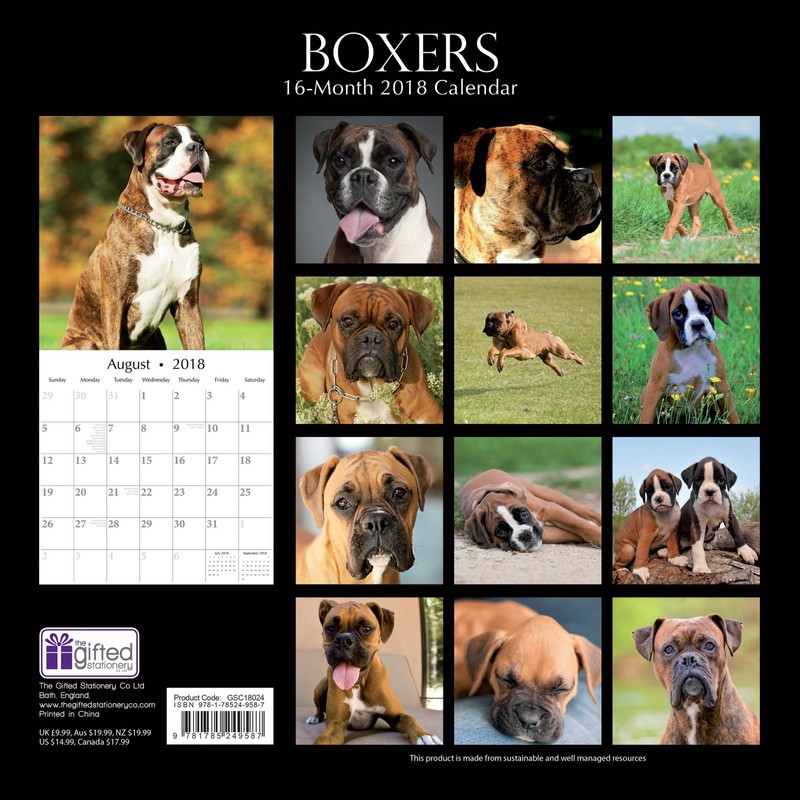 Paw Prints Range Boxers 2018 Square Wall Calendar