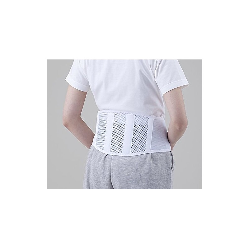 Lumbar Fixed Belt Guard Fit LL / 8-1638-04