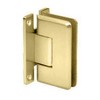 CRL Polished Brass Cologne Shower Pull and Hinge Set