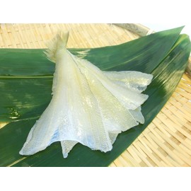 40 Tails Open Kiss, Perfect for Tempura and Frying Commercial Use, 40 Tails