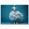 Hundemode vom Dogwalk (Wandkalender 2025 DIN A3 quer), CALVENDO Monatskalender