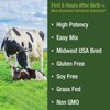 Peak Performance First Milking Colostrum Powder from Grass Fed USA