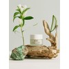 Olos Anti-Blemish Purifying Cream, 1.7 oz - Anti Aging Face