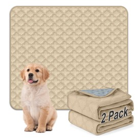 FunFurry Washable Pee Pads for Dogs - 2 Pack Reusable Waterproof Puppy Training Pads, Super Absorbent with Dog Paw Shape Non-Slip Backing (Cream, 41" X 41" - 2 Pack)