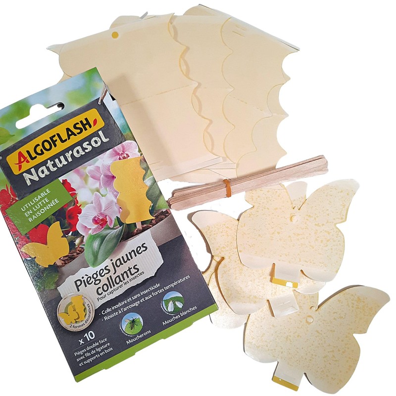Algoflash Naturasol Yellow Traps - 10 Stickers
