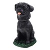Animal Den Pug Black Dog Bobblehead Figure for Car Dash