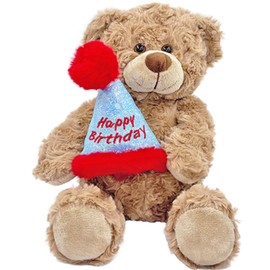 YOLINYOISH Stuffed Teddy Bear Dolls with Birthday Hat Cute Animal Plush Toy for Girlfriend Mom Happy Birthdays Gifts 12''