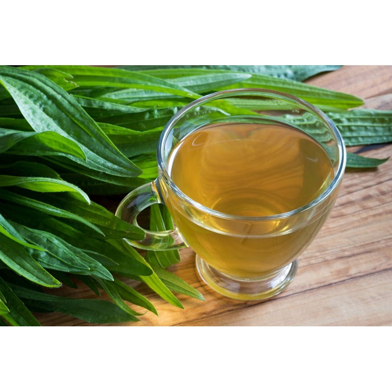 Health Embassy English Plantain Leaf (Plantago lanceolata L) (100g)