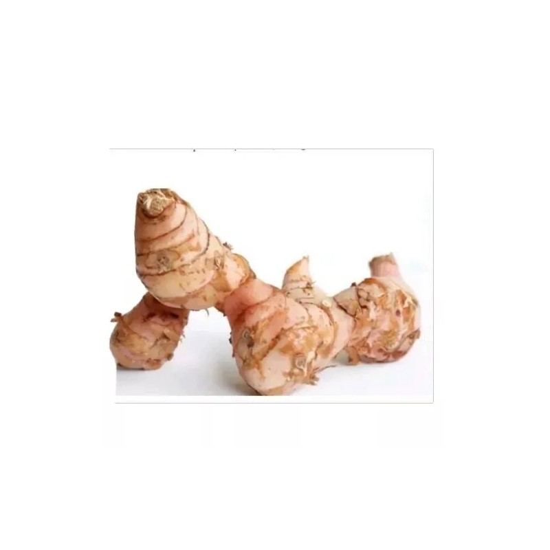 A&W Organic Dried slice Indonesian Galangal 2 oz
