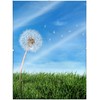 Ambiance Gallery Clip Frame Modern Low Profile Invisible Minimalist Picture