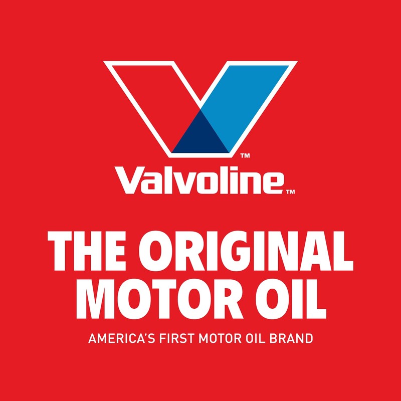 Valvoline Daily Protection SAE 50 Conventional Motor Oil 1 QT,