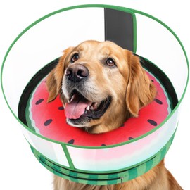 Didopet Inflatable Dog Cone with Anti-Licking Clear Shield, Protective Dog Donut Collar After Surgery, Adjustable Soft Recovery Cone for Pets, Alternative Collar with Buckle Strap (Watermelon, M+)