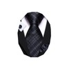 Barry.Wang Plaid Ties Check Mens Necktie Set with Handkerchief Cufflinks