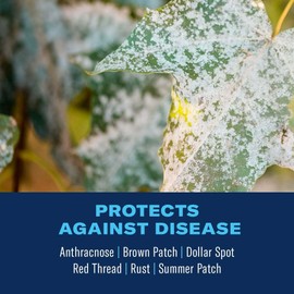 BAYER CROP SCIENCE 701270 Fungus Control for Lawns Ready-To-Spray, 32-Ounce