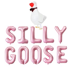 Silly Goose Pink Balloons Birthday Decor Set, 16 Inch Foil One Silly Goose Party Decorations for Girl Boy Birthday Baby