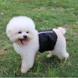 Susunyloviy Washable Dogs Diapers Male Dog Belly Band for Small Dogs,Pack of 5 Reusable Super Absorbent Doggie Diapers Male Puppy Belly Wrap,M, Medium