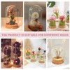 BENECREAT Glass Display Dome with Cork Base, 2 Sets, 11.8x8cm