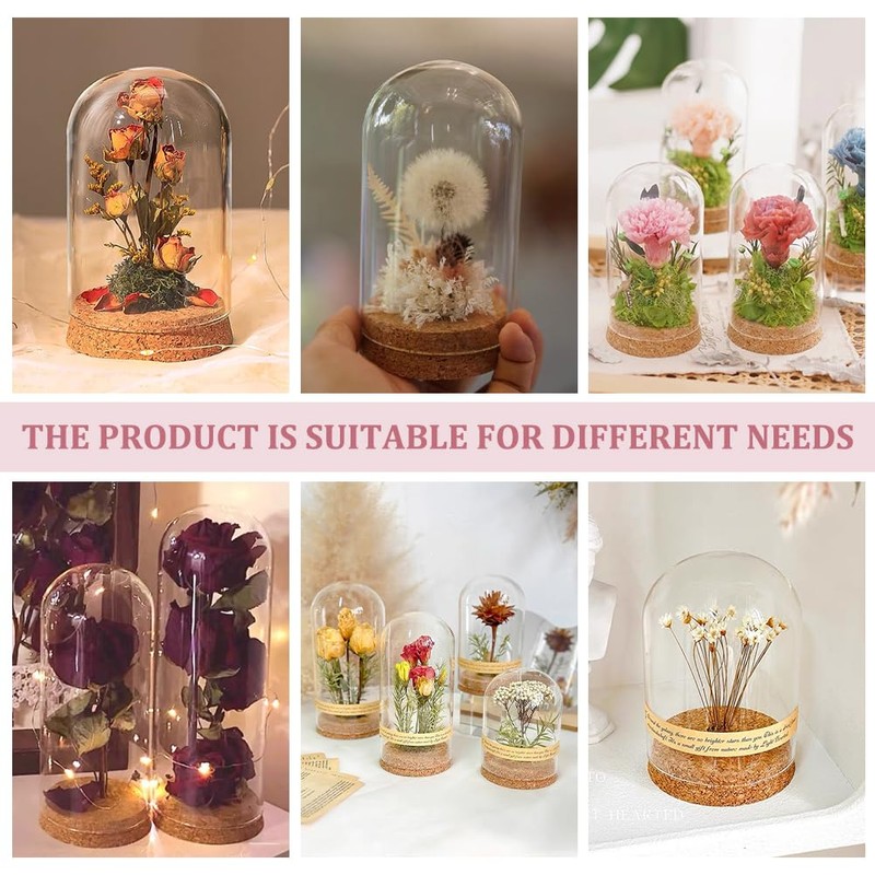 BENECREAT Glass Display Dome with Cork Base, 2 Sets, 11.8x8cm