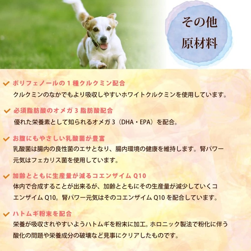 帝塚山ハウンドカム 犬 サプリメント 腎パワー元気 90g ボトルタイプ 無添加 国内製造 腎臓 低リン