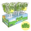 Sweetzo Green Apple Frog Jelly Lollipops, Individually Wrapped Gummy Pops,
