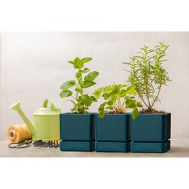 D'vine Dev 4 Inch Herb Planter Pot, Plastic Planter with Drainage Holes and Saucer, Modern Decorative Gardening Pot for Indoor Plants, Flowers, Herbs, Succulents, Green, Set of 3, 76-Y-C-3