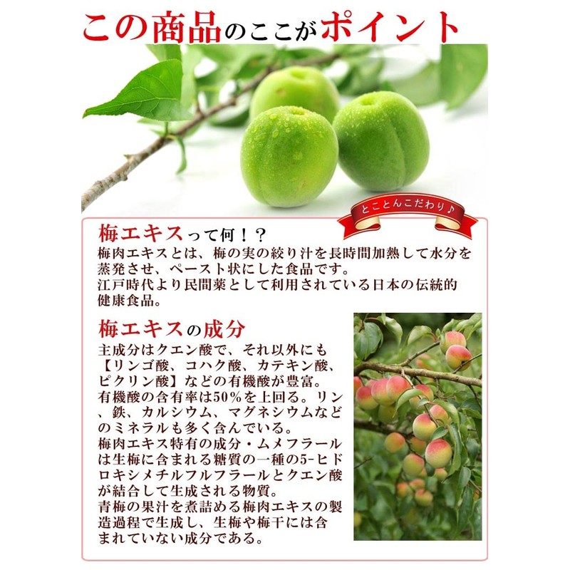 うめ海鮮 国産 梅肉エキス 紀州産 青梅使用 55g（ 濃縮 練りタイプ 無添加 無着色