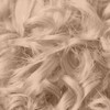 HL B Hi Lift Ash Blonde Permanent Liquid Hair Color