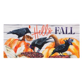 Evergreen Hello Fall Sassafras Switch Mat Inserts, Interchangeable Front Door Mat Outdoor Entrance, Indoor Door Mats for Entryway, 22 x 10 Inches Sassafras Doormat Inserts