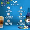 Syruvia Sugar Free Coffee Syrup, BLUNILLA Syrup, Vanilla Blueberry Flavored