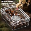 Chameleon Feeder - Anti-Escape Hermit Crab Food Dish - Reptile