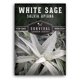 Survival Garden Seeds - White Sage Seed for Planting - Grow Sustainable Smudging Incense - Pack with Instructions to Plant & Grow in Your Home Garden - Non-GMO Heirloom Variety - 1 Packet