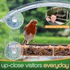 Window Bird Feeder with Strong Suction Cups - (Upgraded 2025