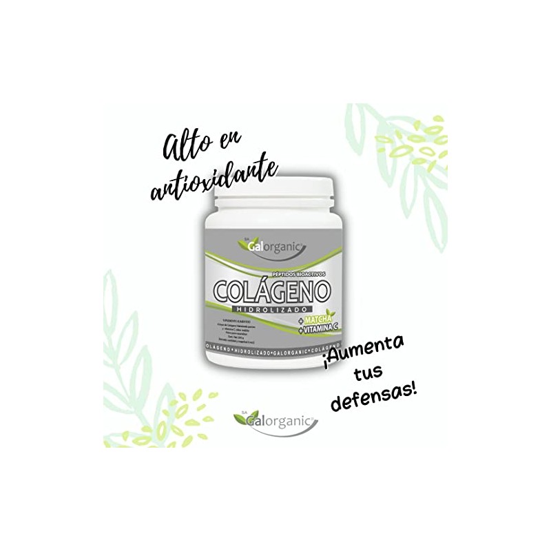 Colágeno Hidrolizado. Adicionado con Matcha y Vitamina C. 500 Gramos.