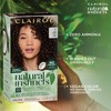 Clairol Natural Instincts Demi-Permanent Hair Dye, 4 Dark Brown Hair