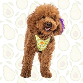 Pawstar Avocado Print Dog Harness – Reflective, Comfy, Adjustable Pawstar Size MEDIUM