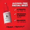 Thayers Unscented Witch Hazel Facial Mist with Aloe Vera Toner