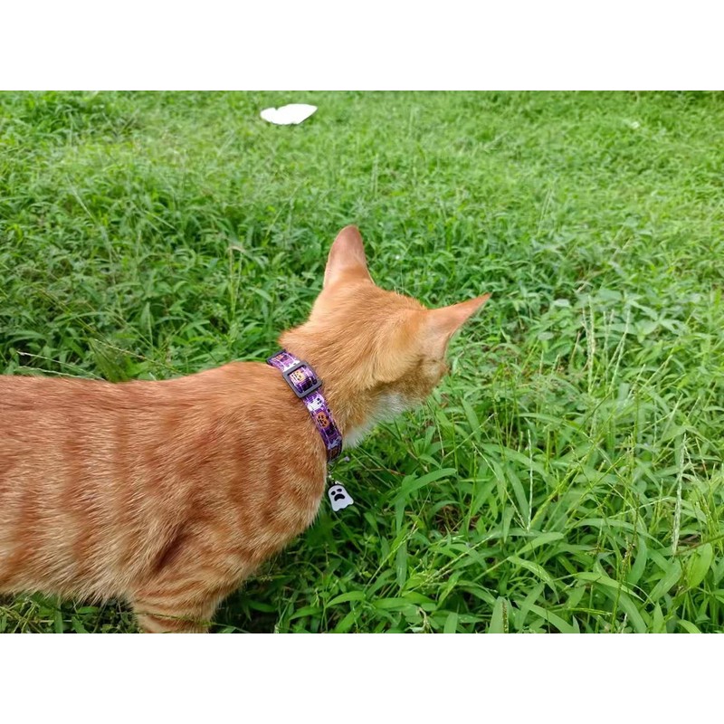 Giecooh 2 Pack Cat Collar Breakaway with Bells, Adjustable Cute
