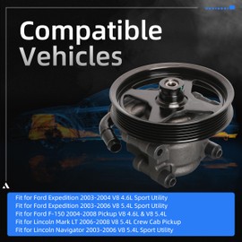 20-312P1 Power Steering Pump with Pulley Fits for Ford Expedition 03-06, Fits for F-150 2004-2008, Fits for Lincoln Mark LT 2006-2008, Fits for Navigator 2003-2006 for 4.6L 5.4L V8, Replace # 6065PX