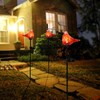 Afirst Solar Outdoor Lights Decorative - Solar Garden Stake Lights