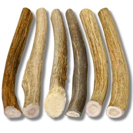 WhiteTail Naturals - Antlers for Small Dogs (6 Pack) Deer Antler Dog Chew Bones for Small Aggressive Chewers - Long Lasting Horn Chew Toys - Naturally Shed