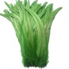 Sowder Schwanzfedern vom Hahn 11-14inch(27-35cm) Lengh Packung 50pcs(lindgrün)