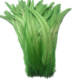 Sowder Schwanzfedern vom Hahn 11-14inch(27-35cm) Lengh Packung 50pcs(lindgrün)