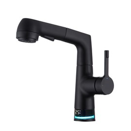 Fonveth Bathroom Sink Faucet with Pull Out Sprayer, Temperature Digital Display, Single Handle, Height Adjustable Basin Mixer Faucet, No Battery Needed, Matte Black