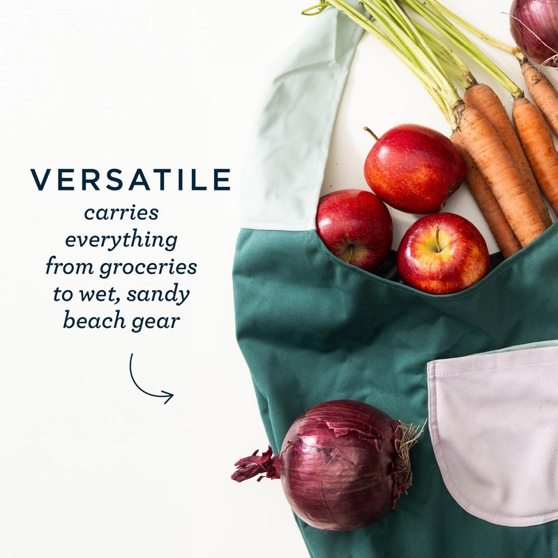 Esembly Carryall Bag - Large, Waterproof, Reusable and Foldable Tote