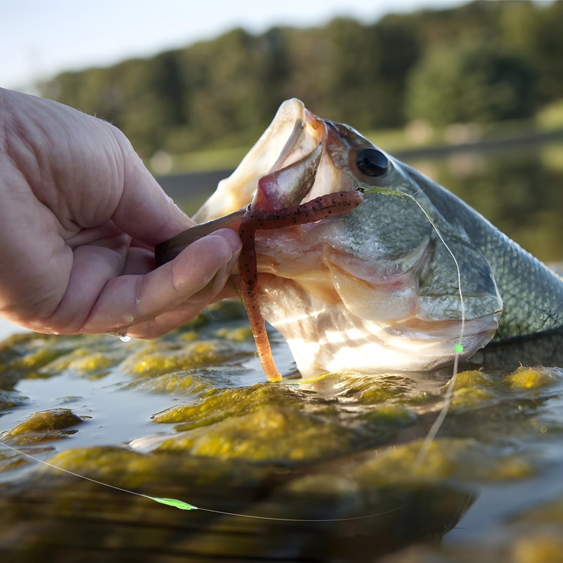 YOTO Bobber Stops for Fishing,Float Bobber Stops String Knots&Fishing Glow