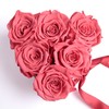 Rosemarie Schulz Heidelberg Infinity Rose Box in Heart Shape with