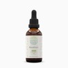 HerbEra HerbEra Bloodroot Tincture B60 Alcohol-Free Extract, Super-Concentrated Responsibly farmed