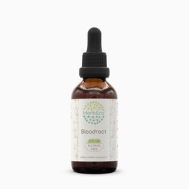 HerbEra HerbEra Bloodroot Tincture B60 Alcohol-Free Extract, Super-Concentrated Responsibly farmed Bloodroot (Sanguinaria Canadensis) Dried Root (2 Fl Oz)