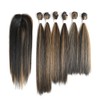 X-TRESS Highlight Balayage Synthetic Hair Bundles with Closure Yaki Straight