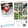 Baker and Bray Shih Tzu Calendar 2025, Large Square Wall